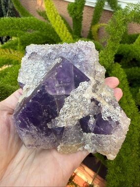Druzy Quartz covered Purple Fluorite… so beautiful in person!